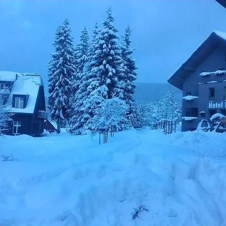 Draco * Harrachov