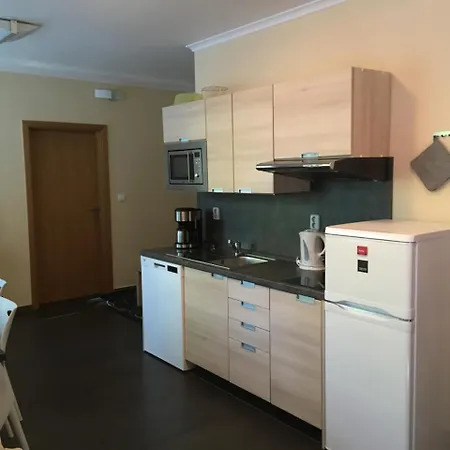 Lejlighed Draco Harrachov