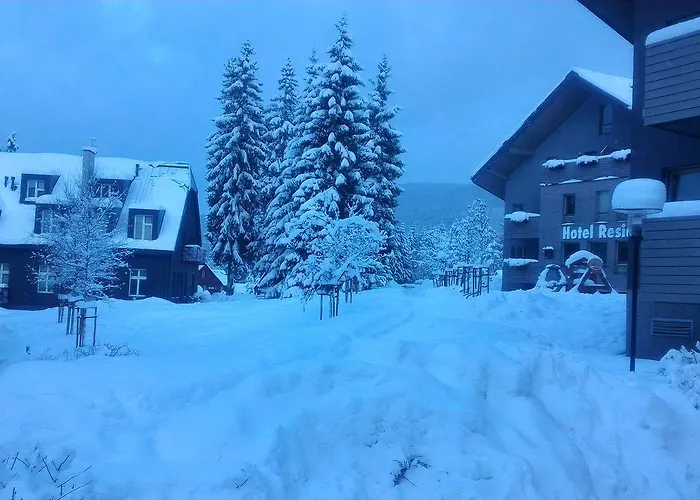 Draco * Harrachov